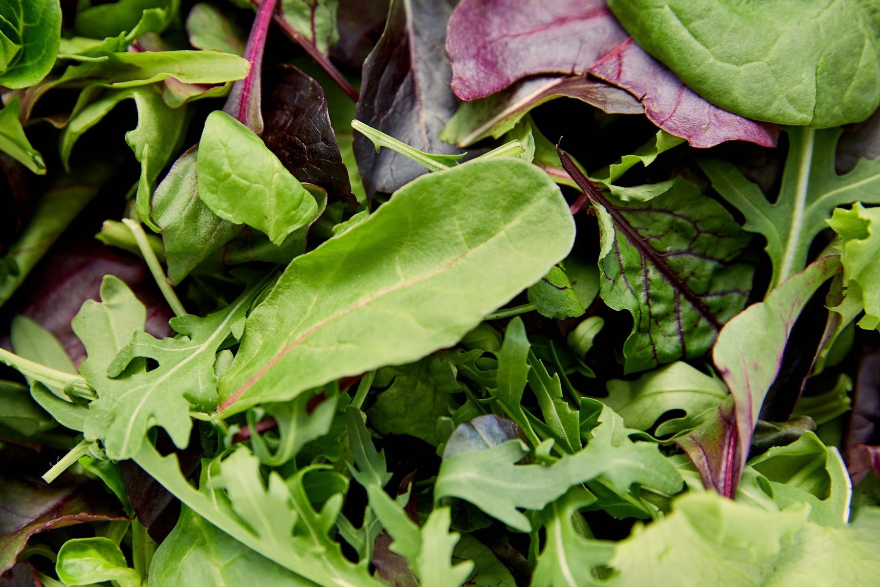 An overhead arrangement of mixed salad leaves and greens